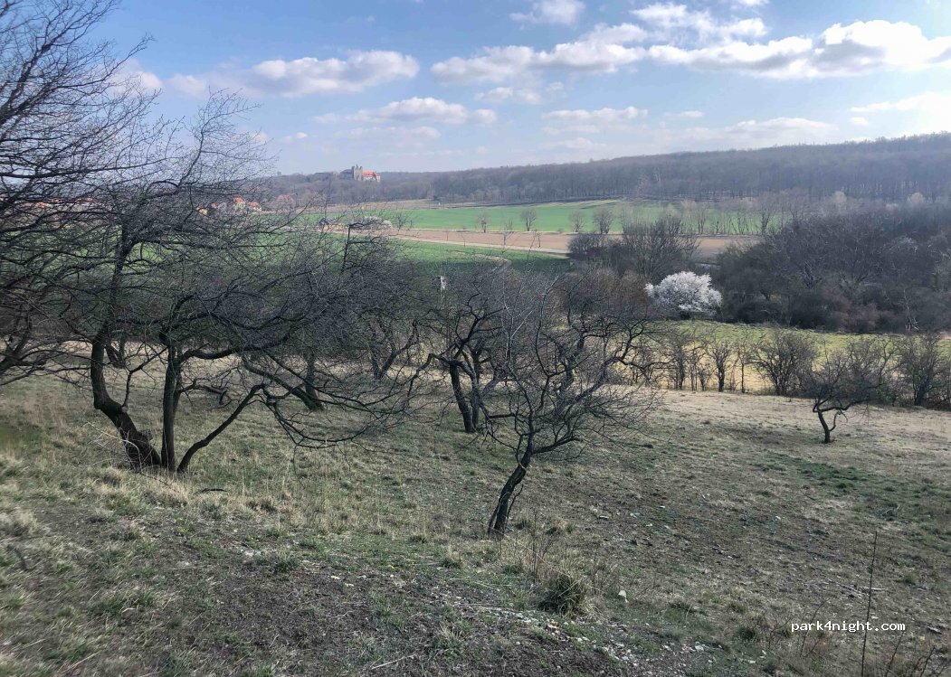 (06493) Ballenstedt - Unnamed Road — foto