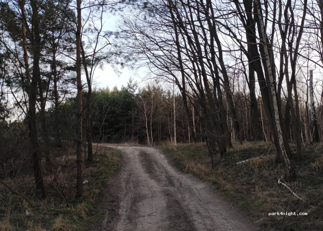 (88-170) Wojdal - — foto