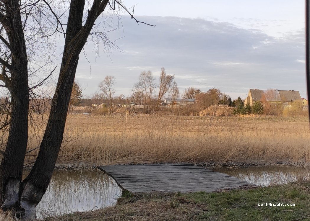 (88-170) Wojdal - — foto 2