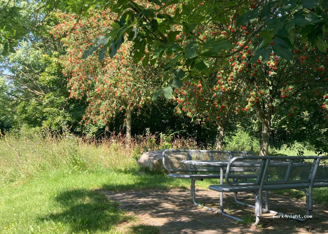 (24864) Brodersby-Goltoft - 21 Missunder Fährstraße — foto