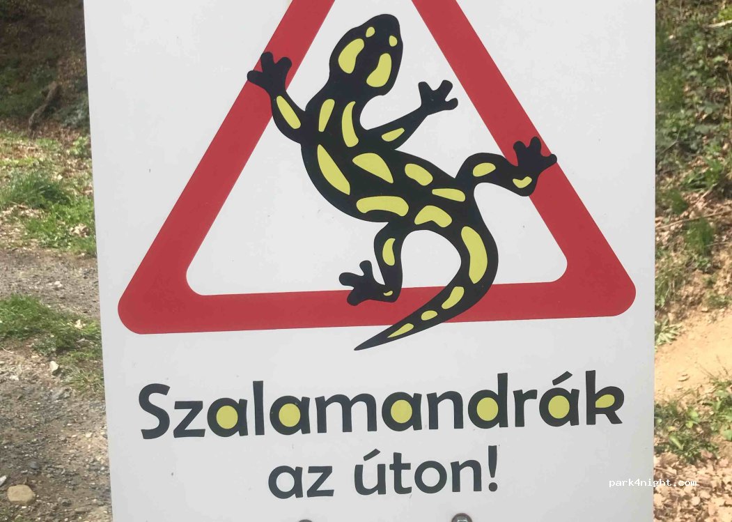 (9730) Kőszeg - — foto 4