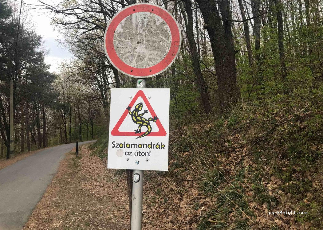 (9730) Kőszeg - — foto 5