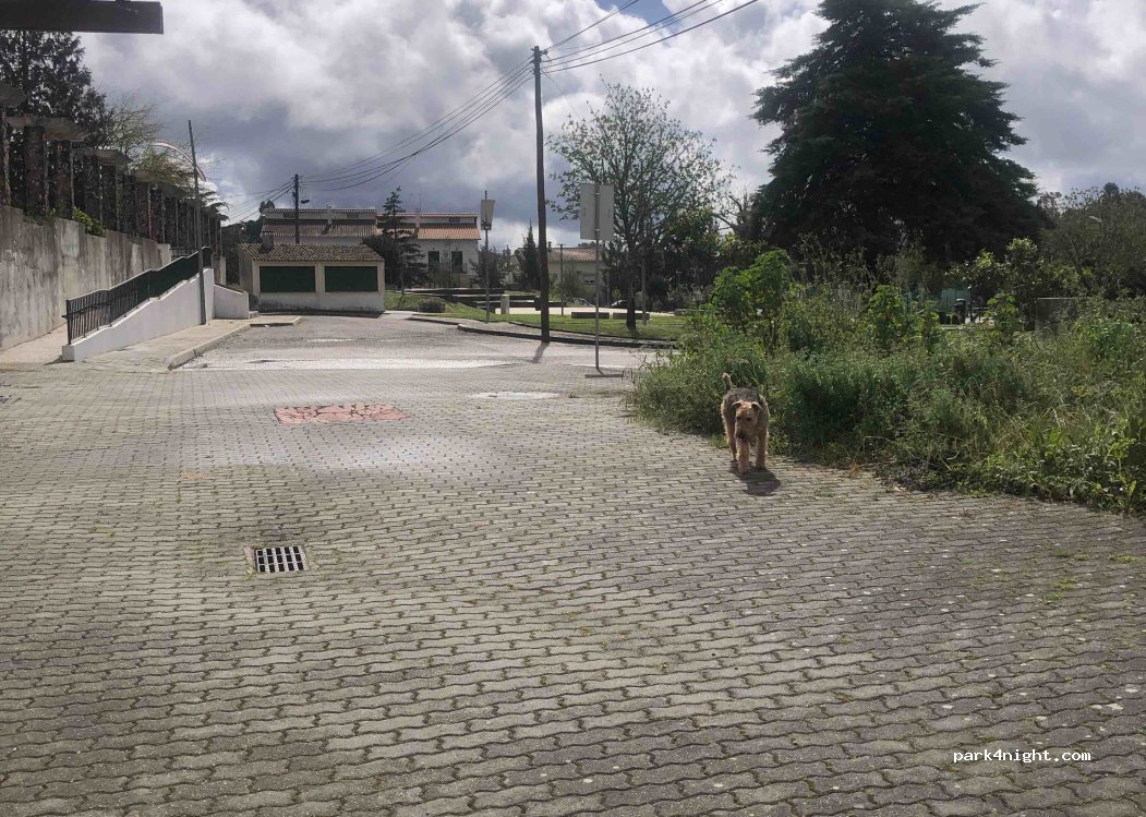 (6110 183) Vila de Rei - 3 Avenida Sá Carneiro — foto 4