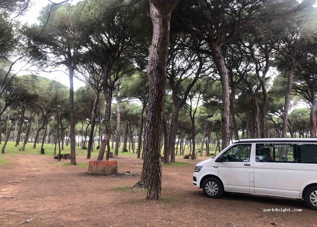 (21110) Aljaraque - Unnamed Road — foto 2