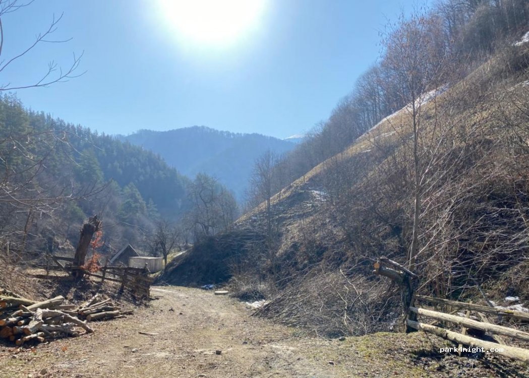 (557205) Râu Sadului - — foto