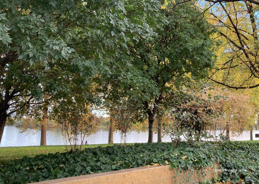 (71000) Mâcon - All. du Parc — foto