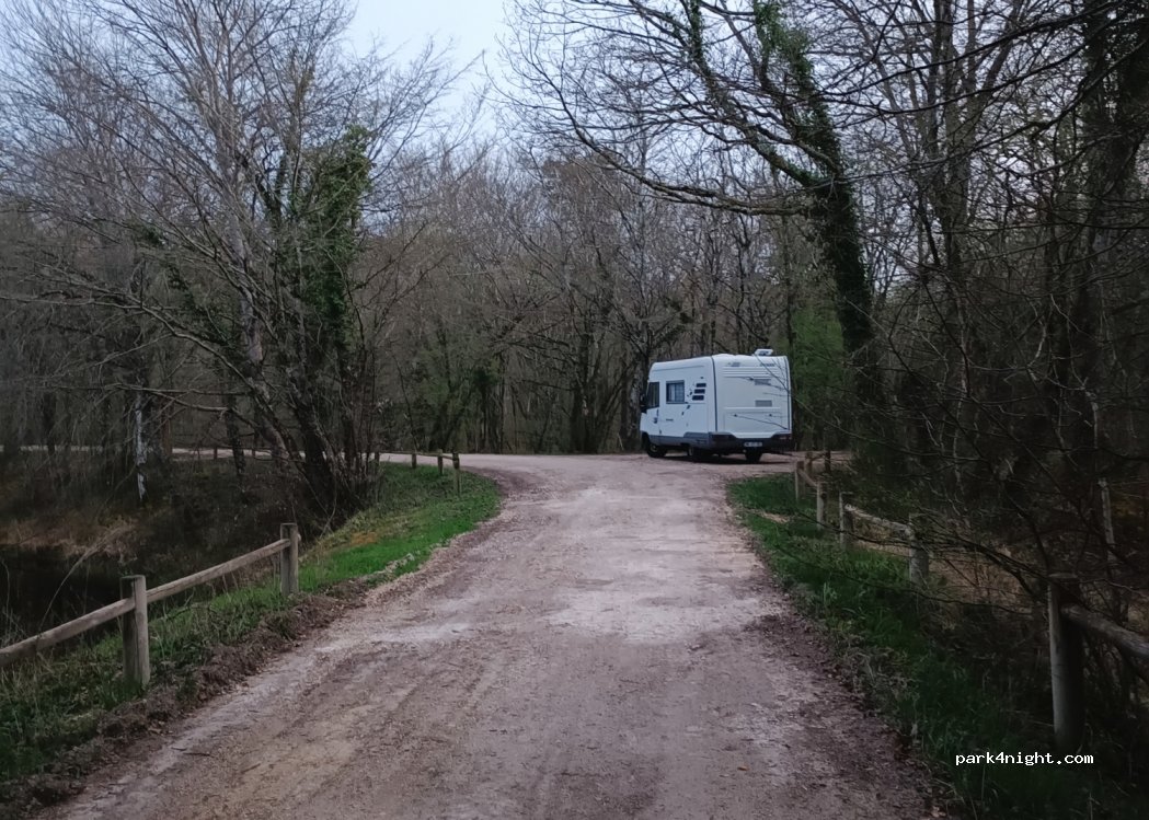 (45570) Ouzouer-sur-Loire - Route Tournante — foto