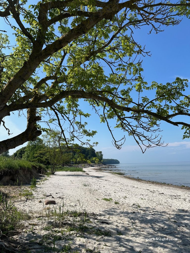 Naldmose Strand Camping — foto 5