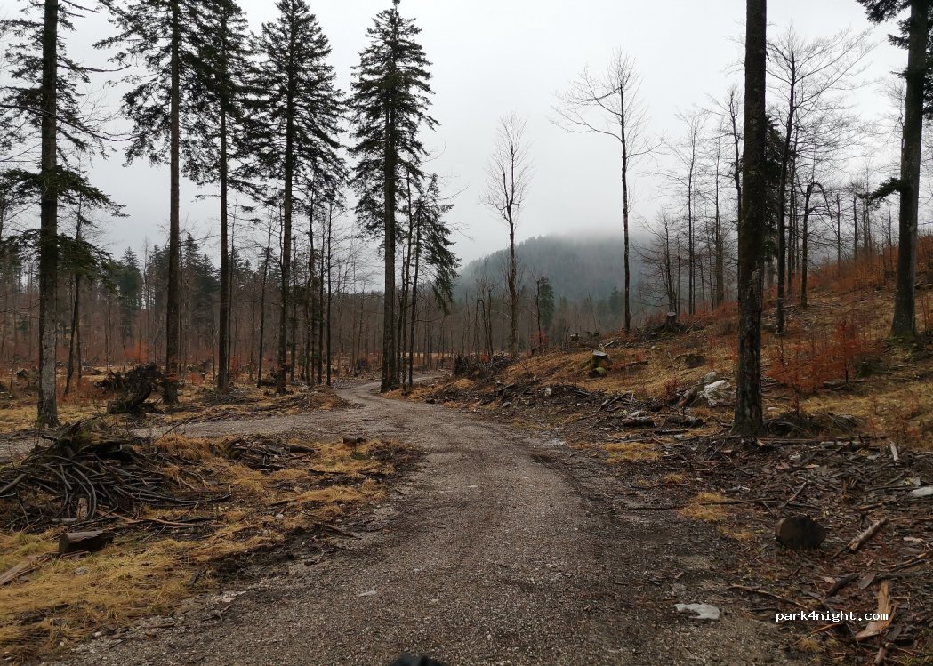 (51304) Gerovo - — foto
