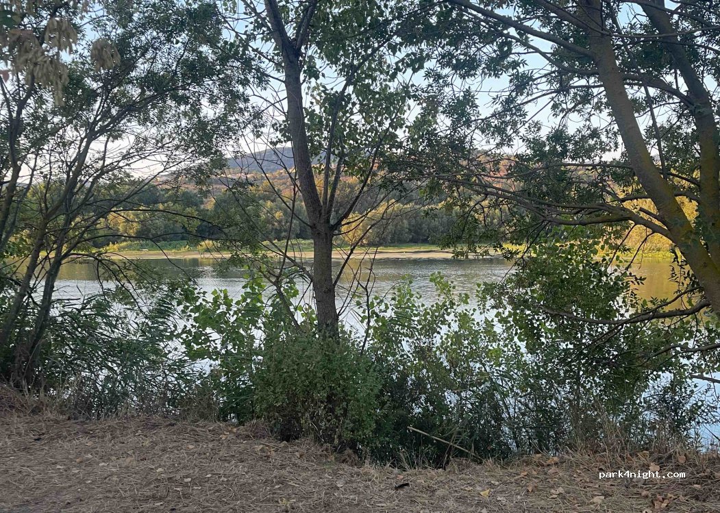 (83520) Roquebrune-sur-Argens - 441 Chemin du Lac — foto 4