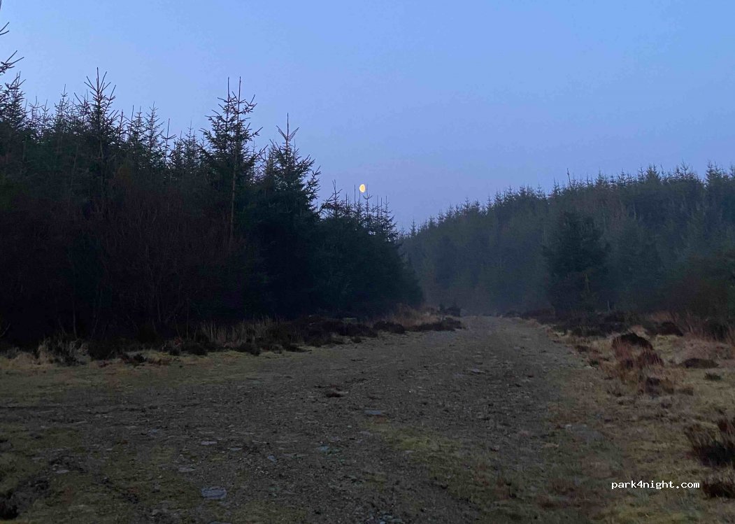 (DG7 2PY) Laurieston - — foto