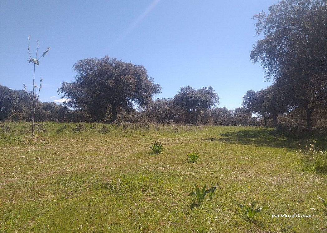 La Finca Solidaria — foto