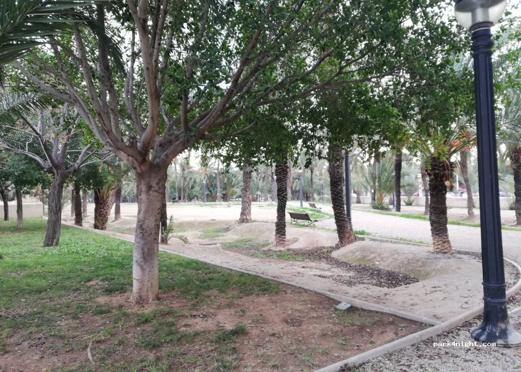 (03202) Elche - Avinguda de la Universitat d'Elx — foto 2