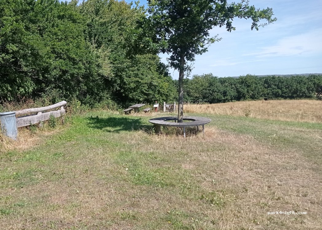 (5771) Stenstrup - 14 Tørvelong — foto