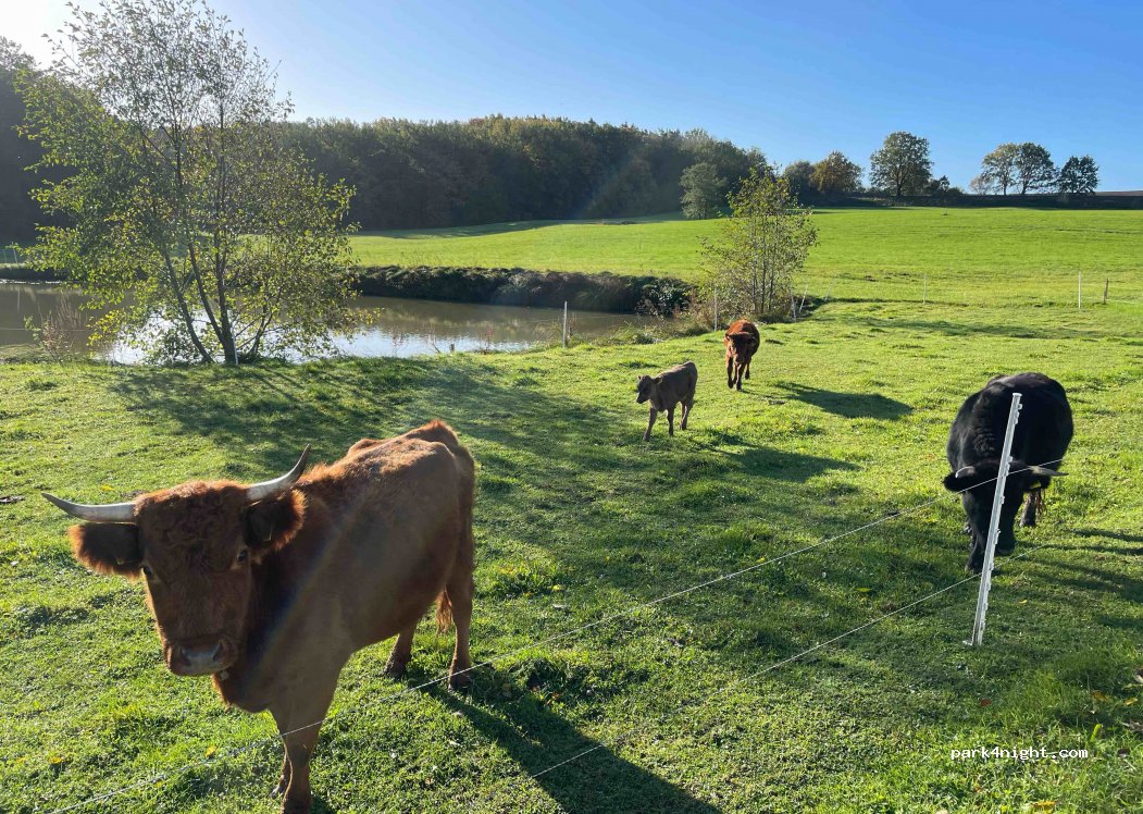 Wohnmobilstellplatz Natur Pur Frießnitz — foto