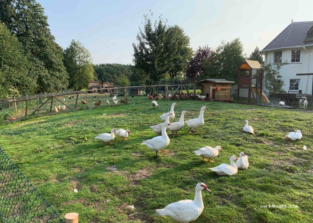 Wohnmobilstellplatz Natur Pur Frießnitz — foto 2