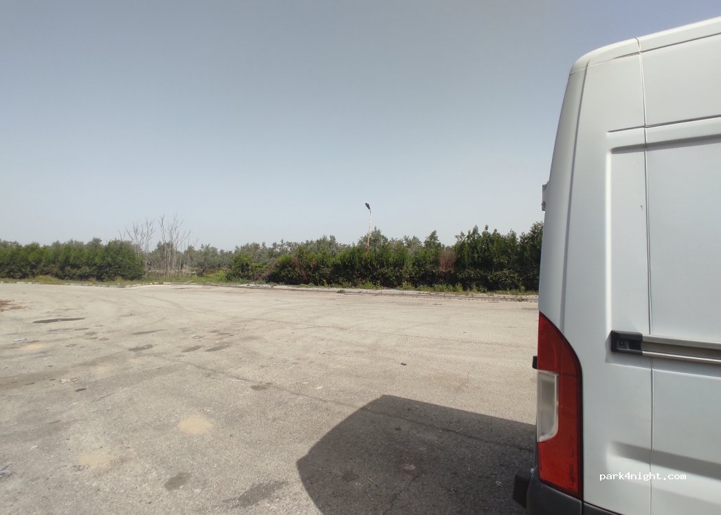 (80000) Alahanlı - — foto 2