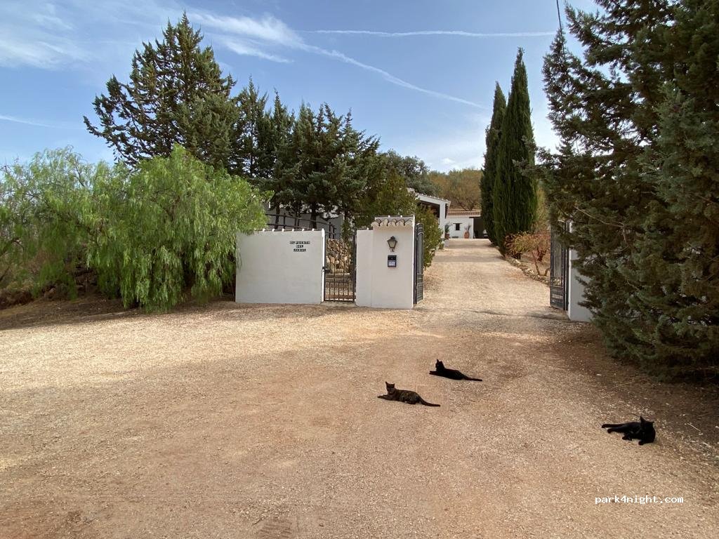 El Puerto del Jaral — foto 5