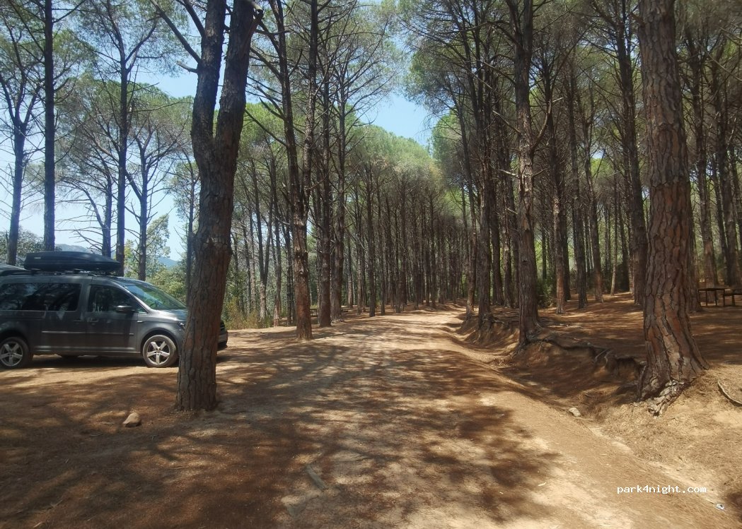(09010) Molas - Unnamed Road — foto 4