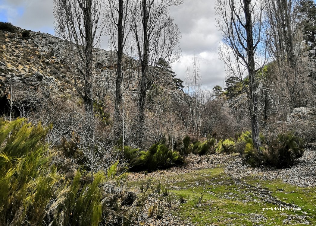 (02534) Fuente de la Carrasca - — foto