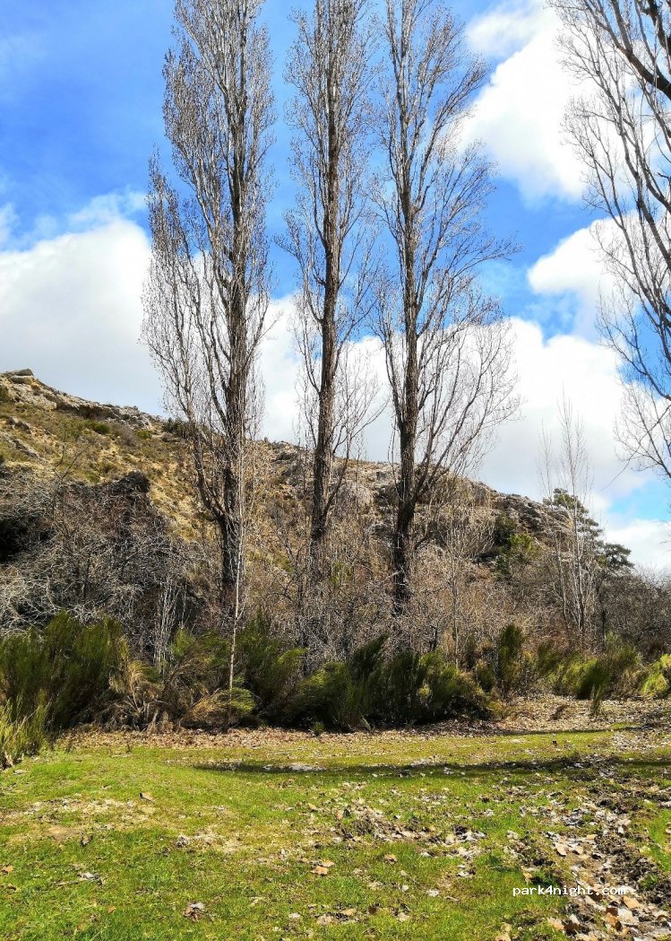 (02534) Fuente de la Carrasca - — foto 2