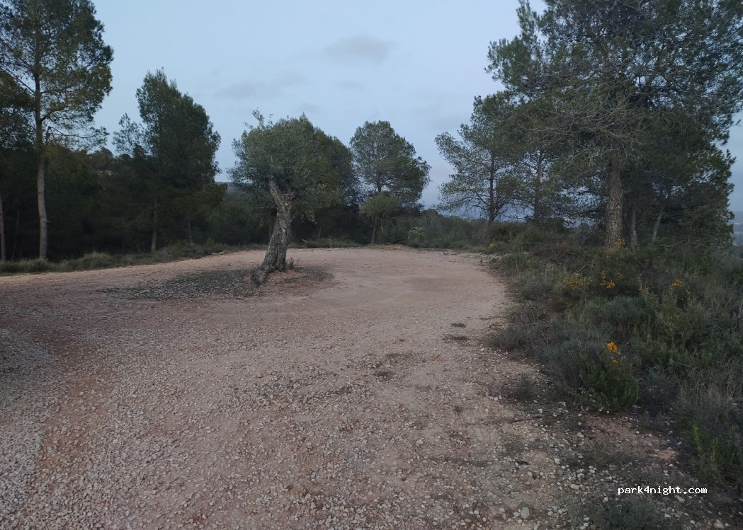 (08787) Carme, Anoia - — foto 2