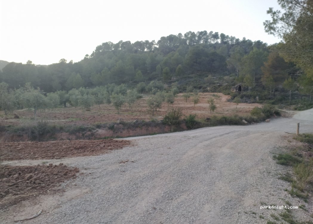 (08787) Carme, Anoia - — foto 3