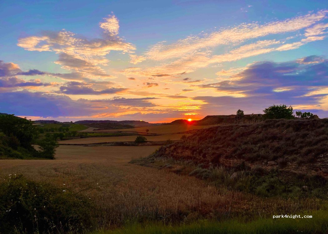 (26330) Briones - — foto 3