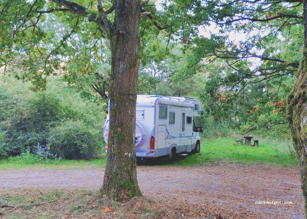 (8660) Skanderborg - 2 Hylke Møllevej — foto 5