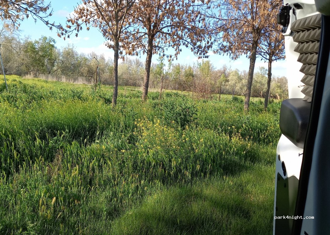 (28300) Aranjuez - 4 Camino de las Aves a Sotomayor — foto