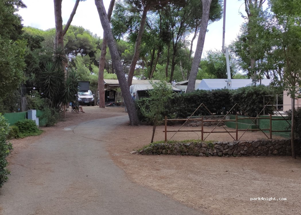 Camping Feniglia — foto 4