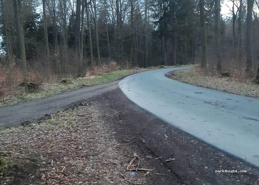 (97833) Wiesener Forst - AB2 — foto 2