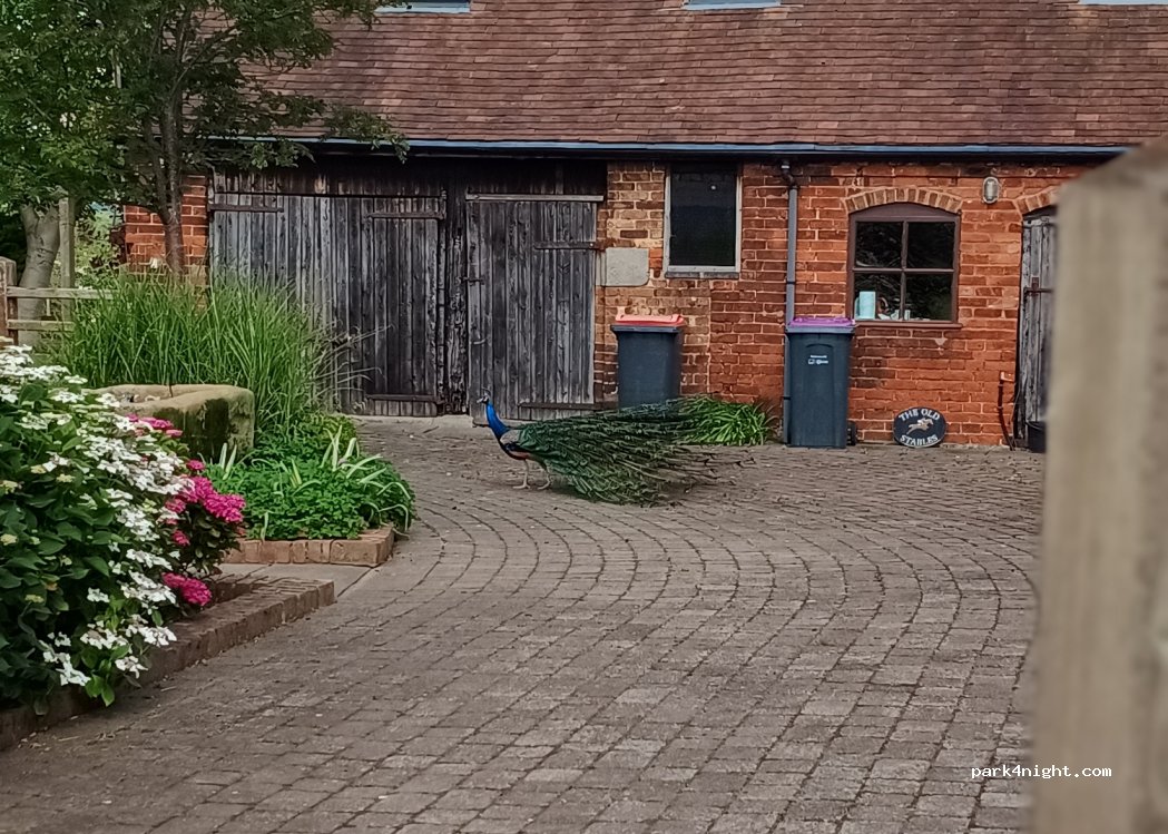 (TF6 5ER) Telford - — foto 4