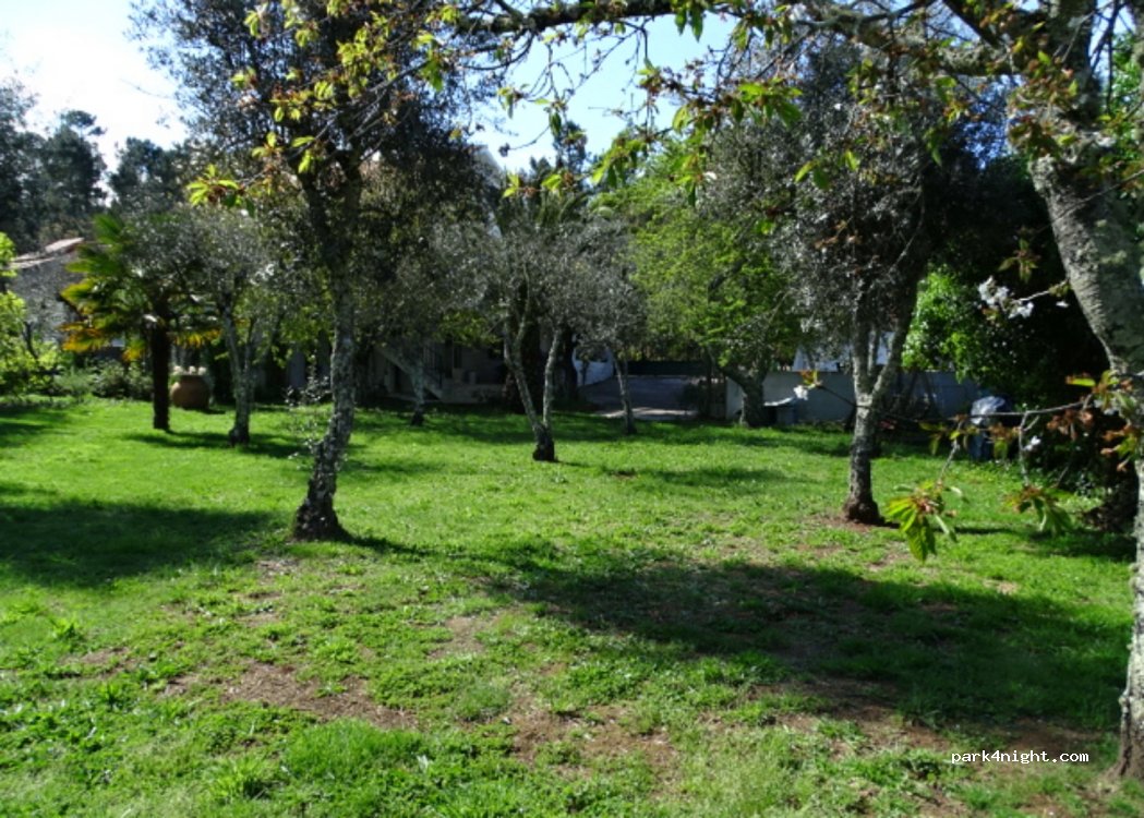 Camping Portugo — foto 2