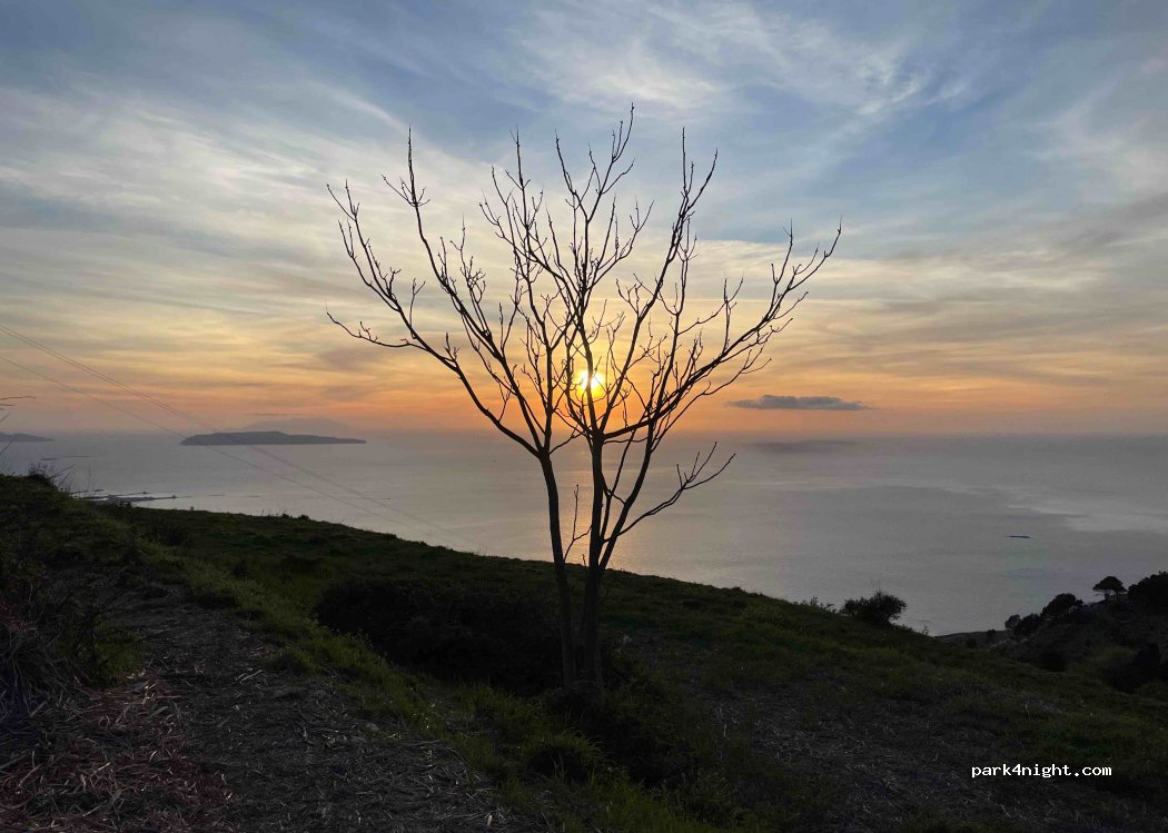 (91016) Erice - 23 Strada Provinciale 3 — foto