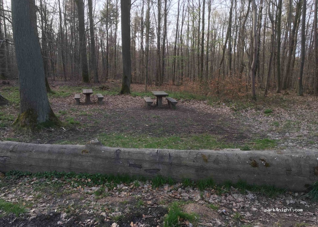 (55413) Weiler bei Bingen - Unnamed Road — foto 3