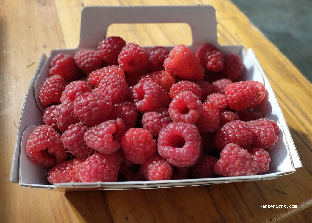Ferme des Combeaux — foto 5