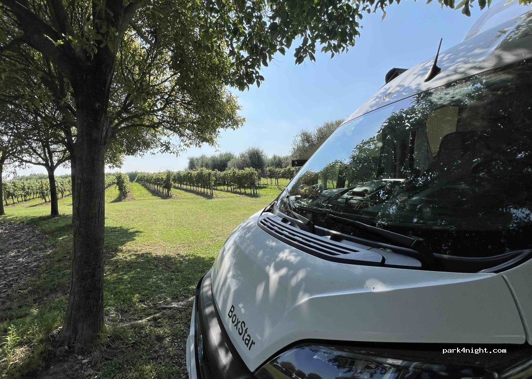 Farmhouse La Vigna — foto 4