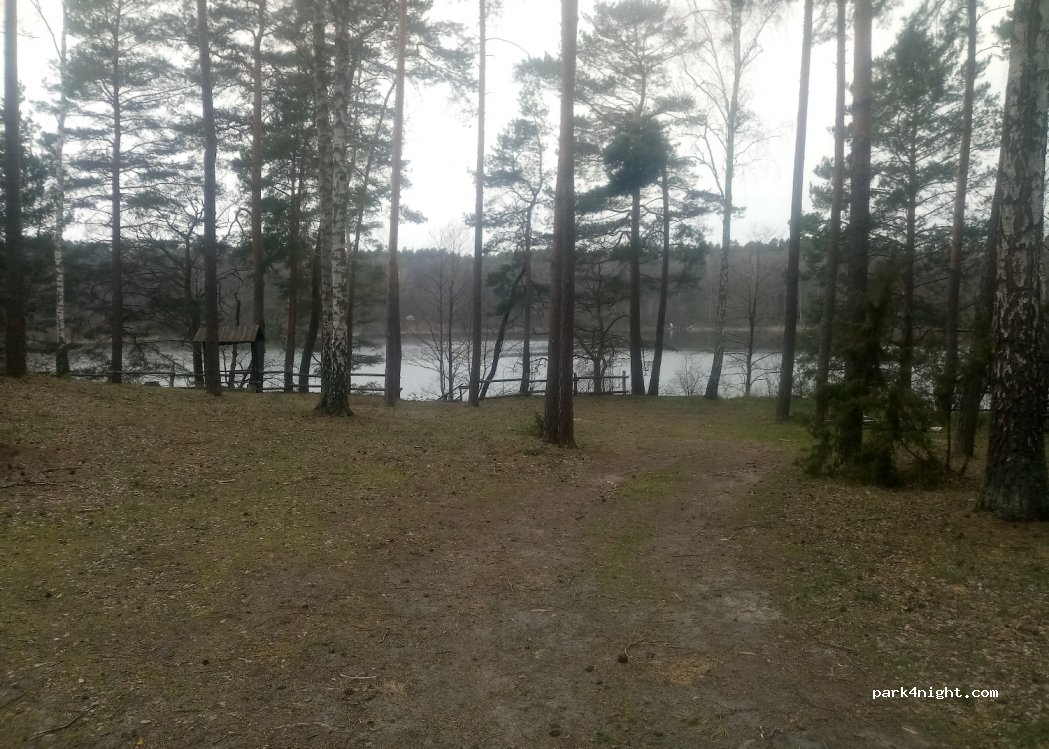 (64) Czapliniec - Unnamed Road — foto