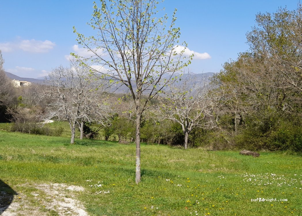 (26400) Suze - Unnamed Road — foto