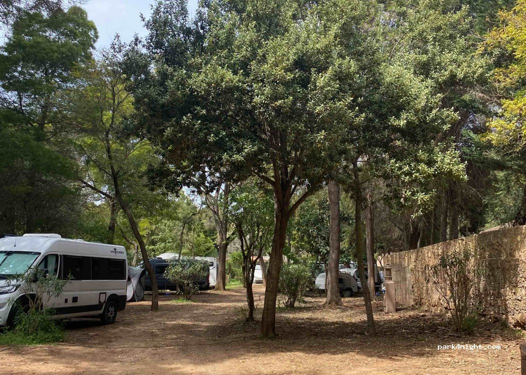 SALEMA ECOCAMP — foto 2