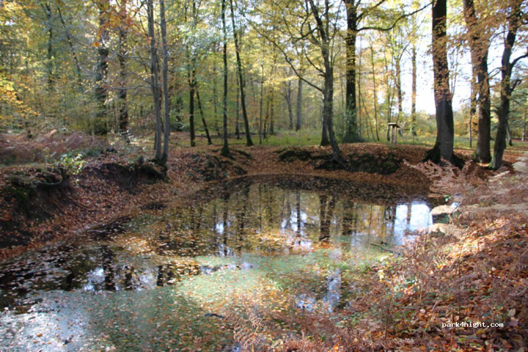 (80150) Crécy-en-Ponthieu - Rte Forestière de Bernay À Domvast — foto