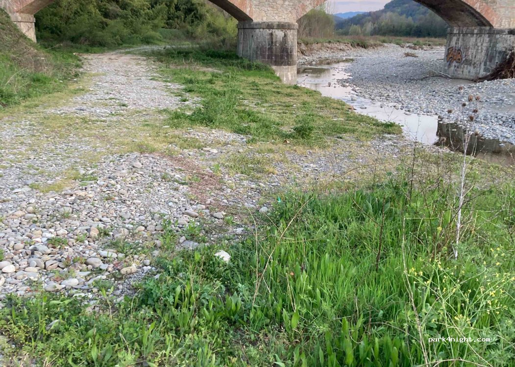 (54028) Villafranca in Lunigiana - 15 SP31 — foto 3