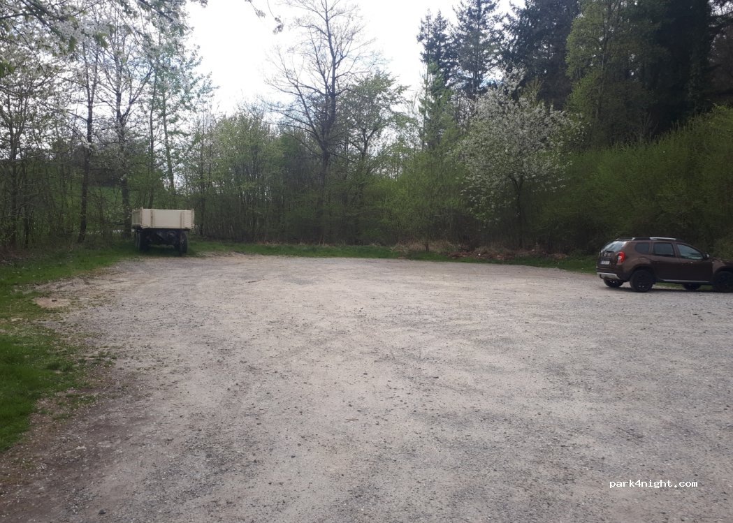 (78476) Allensbach - L220 — foto