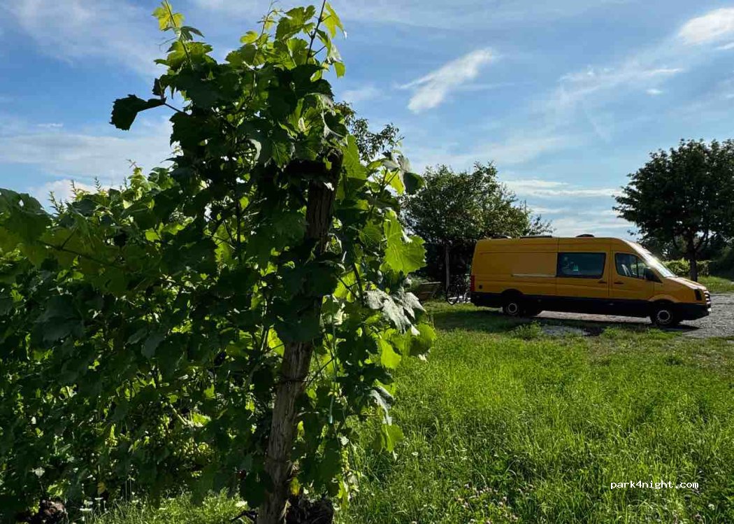 (75438) Knittlingen - Weinsteige — foto 4
