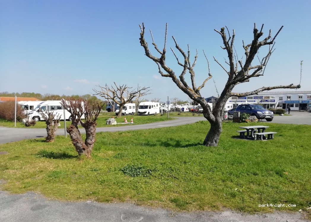 (17132) Meschers-sur-Gironde - Route des Salines — foto 4