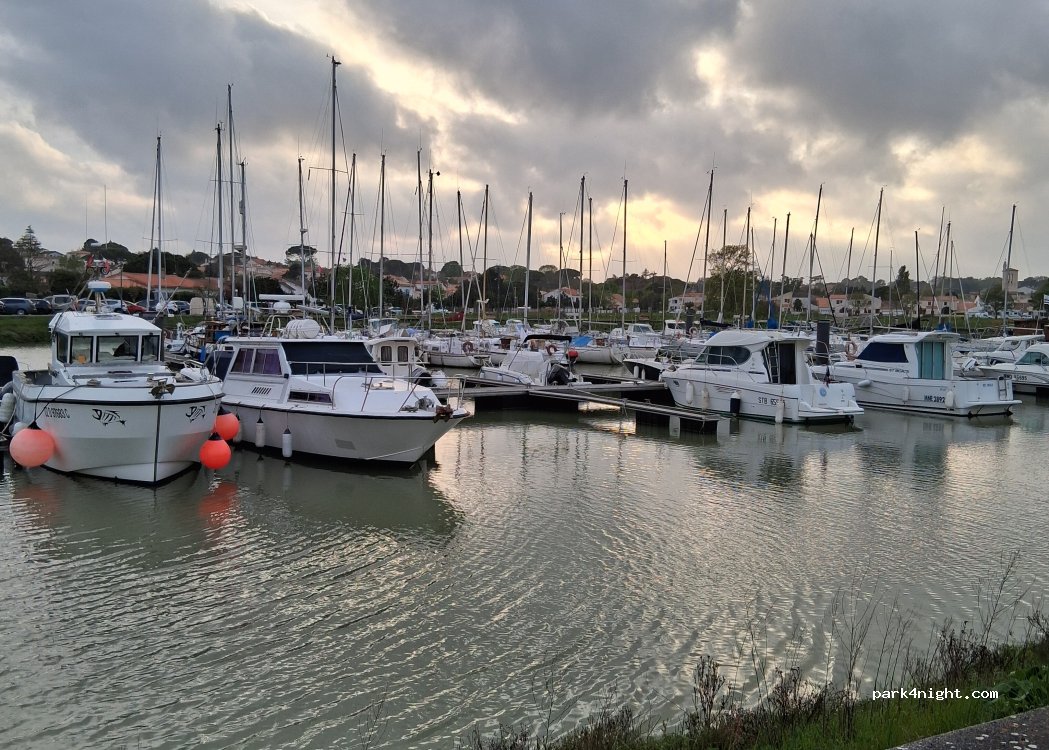 (17132) Meschers-sur-Gironde - Route des Salines — foto 5