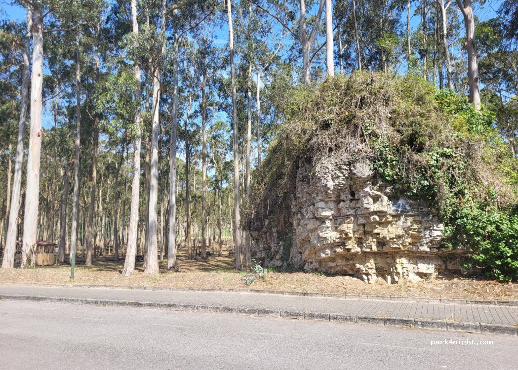 (33316) Villaviciosa - 47 Lugar Rodiles — foto 3