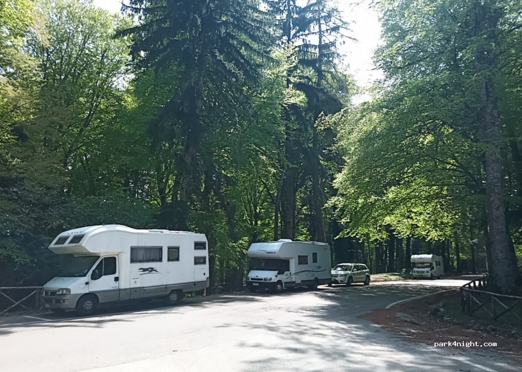 (71037) Monte Sant'Angelo - SP52bis — foto