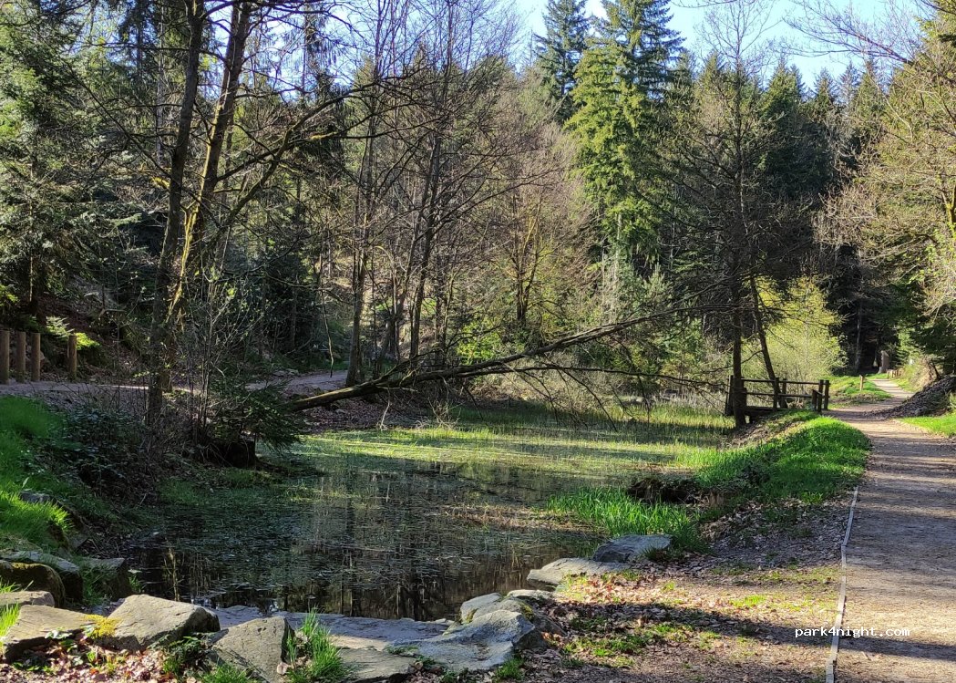 (88120) Saint Amé - 10 Rue du Stade — foto 3